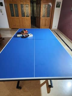 table tennis with accessories