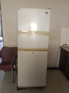 l. g fridge