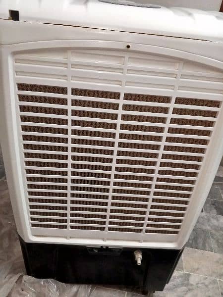electric air cooler 2