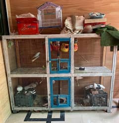 Big wooden birds cage,10 pigeons,20 parrots,7eggs with free small cage