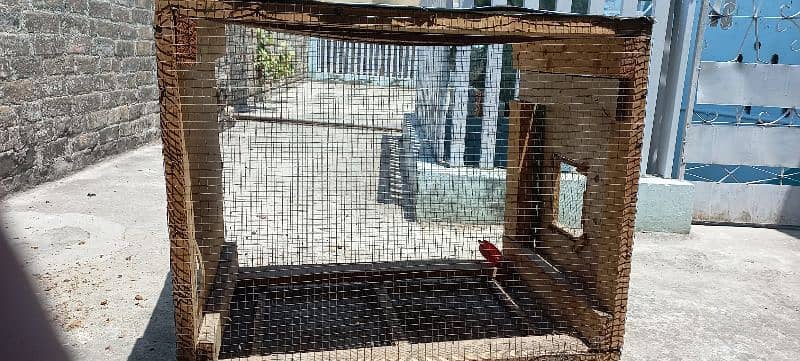 4 cage for sale contact no 0330 1941395 1