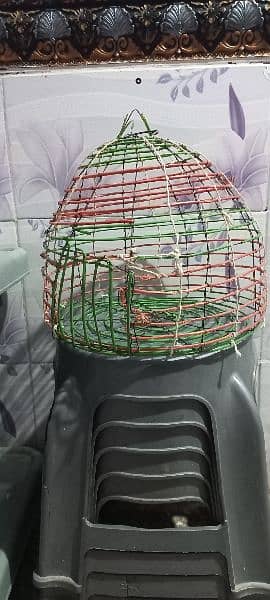 4 cage for sale contact no 0330 1941395 5