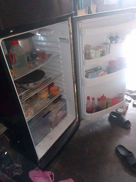full jambbo refrigerator 1