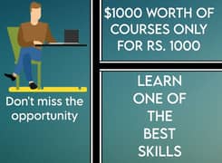 Multiple freelancing courses