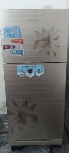 kenwood refrigerator 35% saving personal series