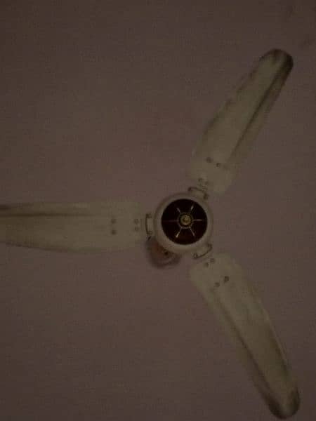 ceiling fan 1