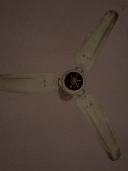 ceiling fan 2