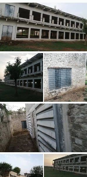 poultry farm for rent in chakwal 2