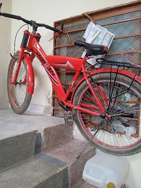 Red bicycle 1