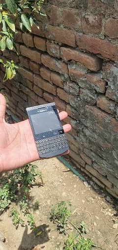 blackberry