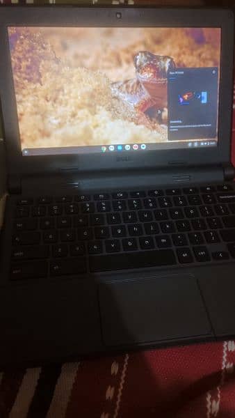 Dell Chrome Book P22T001 4