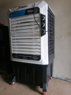 12 voltage air cooler