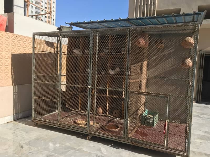 Cage for Birds Peigons Parrots Goats Chickens chicks 0