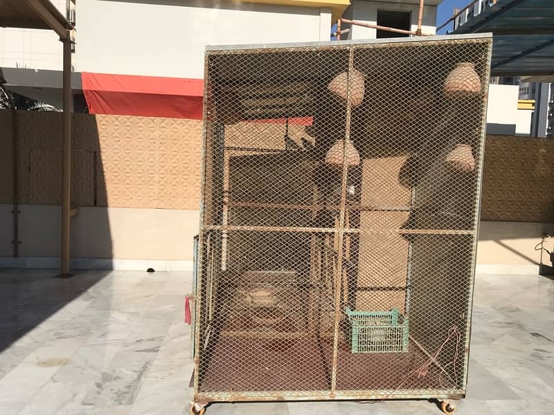 Cage for Birds Peigons Parrots Goats Chickens chicks 1