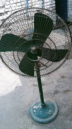 Philips fan