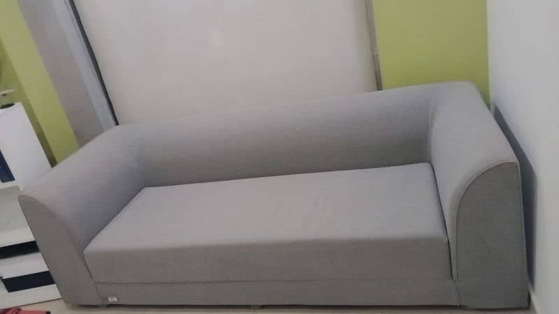 Master Molty Foam Sofa Cum Bed 1