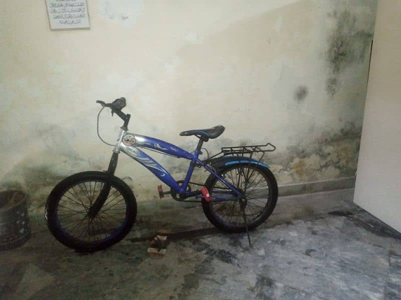 kids bicycle 0