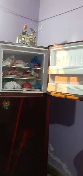 Orient fridge 5