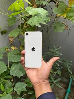 Iphone Se 2022 (3RD GEN) 0