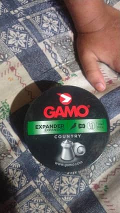 Gamo