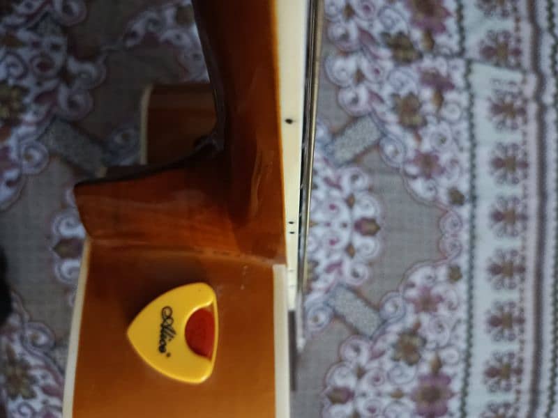 Acoustic Guitar Jumbo 5