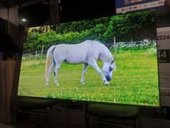 ANDROID 85, INCH SAMSUNG 10K LED TV WARRANTY O3O2O422344