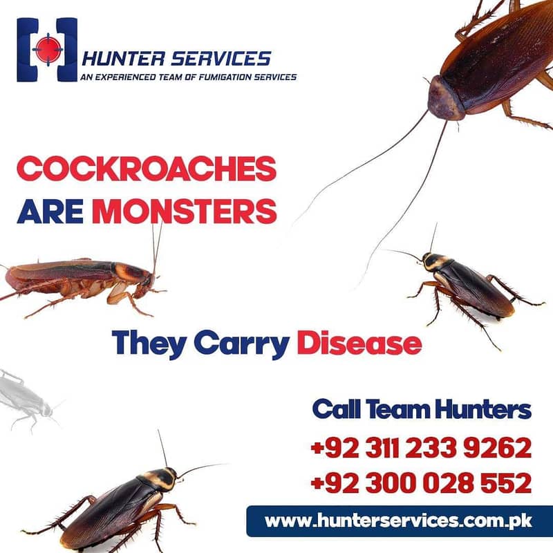 Pest Control/ Termite Deemak Control/ Fumigation service/ Fumigation 3