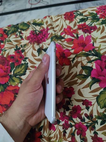 Iphone SE 2020 64GB PTA Approved 4