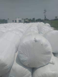 Silage/Corn Silage/Maki Silage