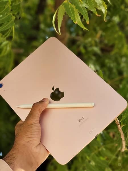 iPad Air 4 256 GB Pink Colour with Chinese Pencils Free and Back Cover 2