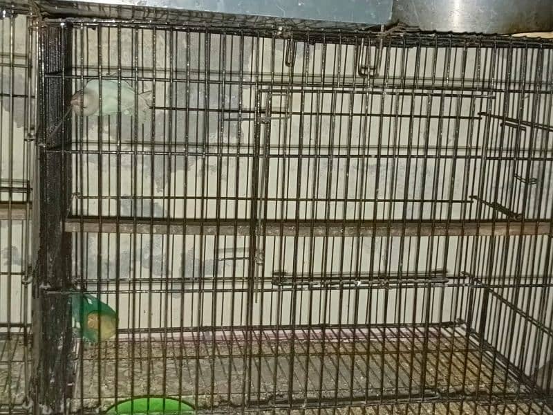 Cages iron urgent sale 3