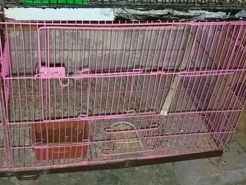 Cages iron urgent sale 10