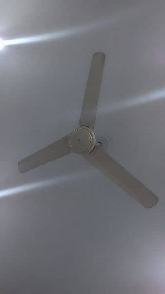 5 fans 2