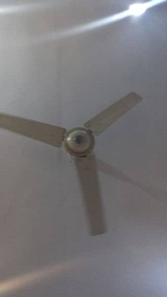 5 fans 3