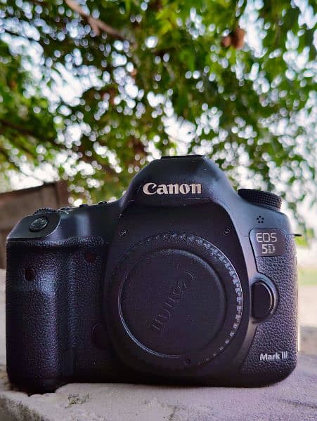 canon 5D mark III 1