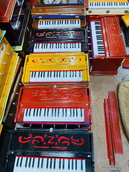 single below harmonium 2 year warranty 3