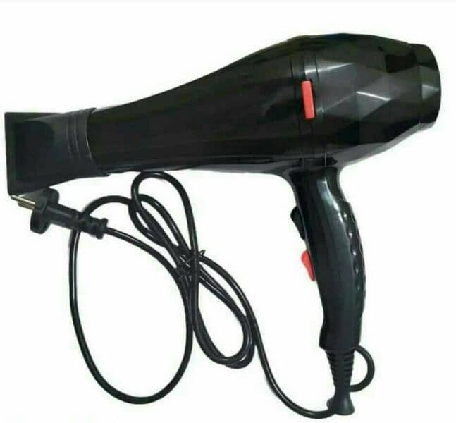 Professional Hair Dryer 1