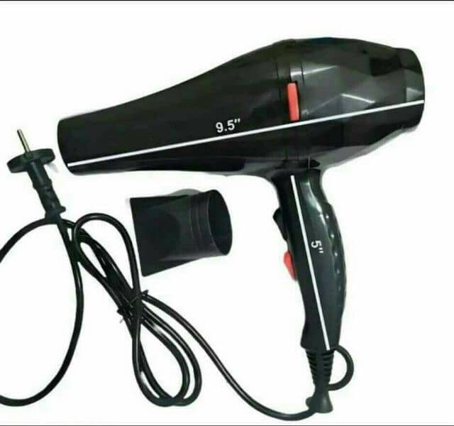 Professional Hair Dryer 2