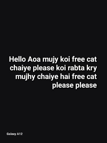 Please mujhy koi free cat chaiye cat ka baby ho 0