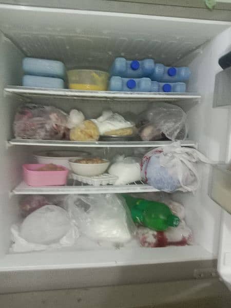 pel fridge good condition 1