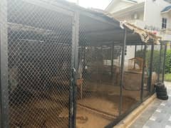 huge size cage for sale