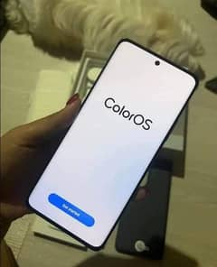 oppo Reno 10 pro 12/512 GB 03238324936 My WhatsApp number