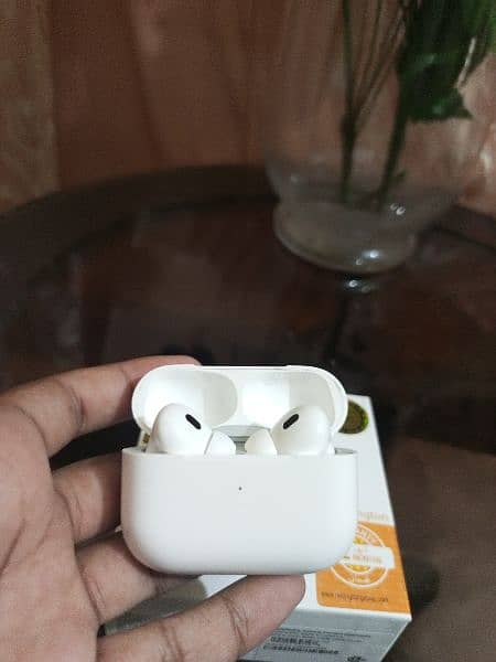 Airpods Pro 2nd Generation with Leather Case 7