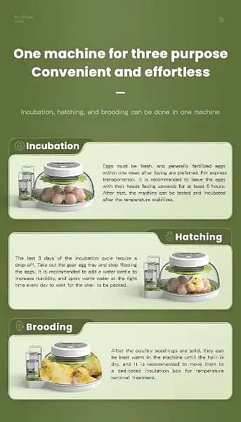 imported fully automatic incubator 9