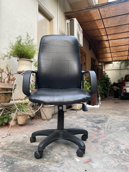Executive Office Chair: Luxurious & Functional 1