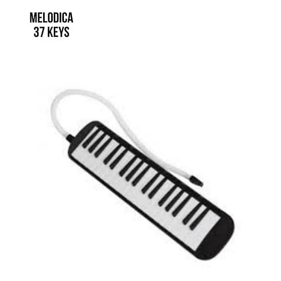 Bee Melodica 37 keys with hardcase 4