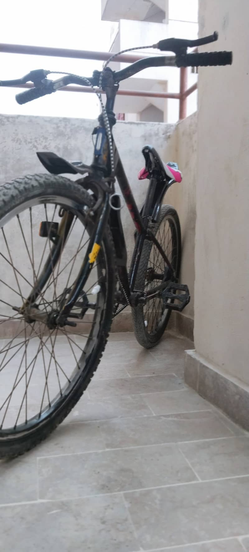 cycle for sale 3