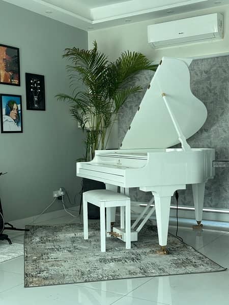 Bassclef Grand Piano / Grand piano / pool table / sofa / rugs / piano 15