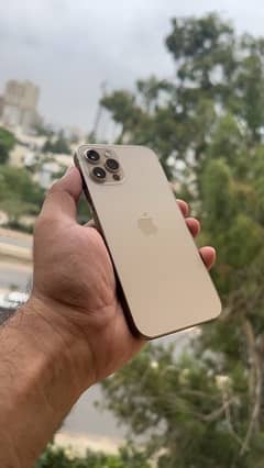 iphone 12pro 256gb pta Approved golden colour