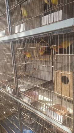 Cages & Birds All for sale 0